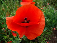 DSC04459.JPG