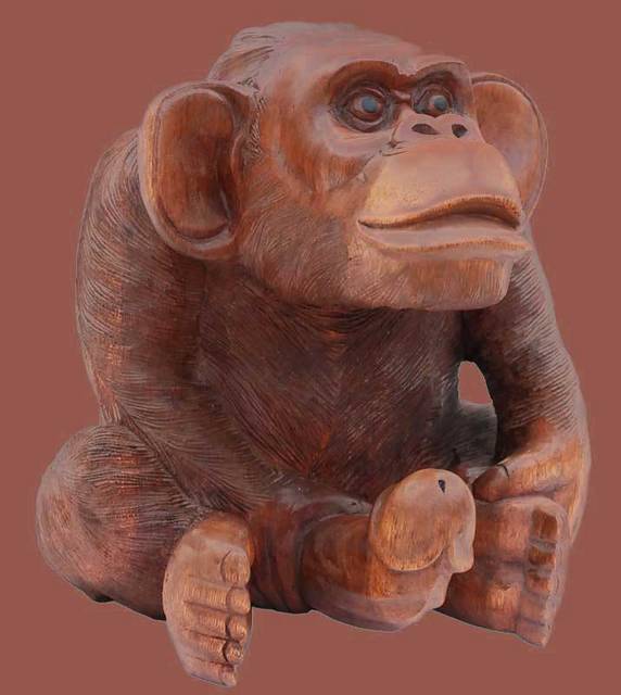 malpa.jpg - Krem1