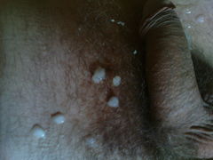 DSC00067.JPG