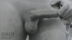 mnxx29 20_01_2009