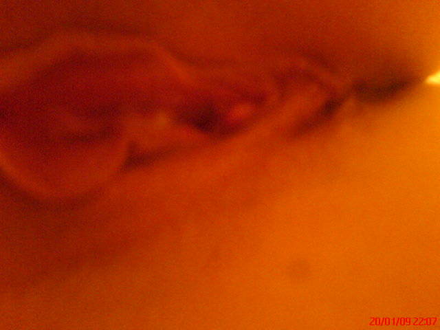 DSC04221.JPG - niki280