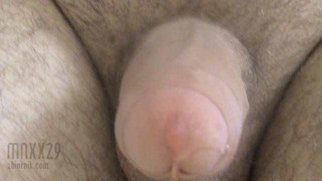 mnxx29 20_01_2009 - mnxx29