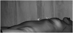 S3221647a.jpg