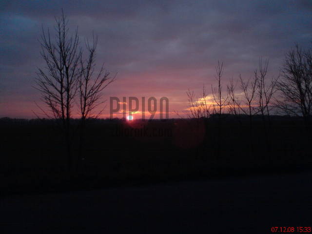 pipi90