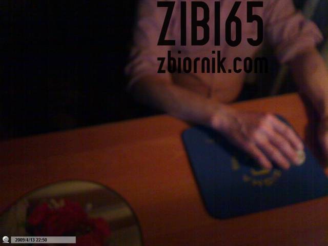 zibi65