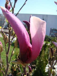 DSC09578.JPG