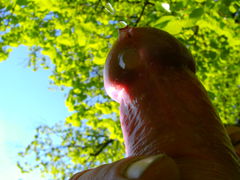 cock 1 033.jpg