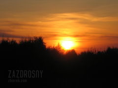 IMG_0182.JPG