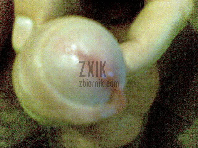 1.jpg - zxik