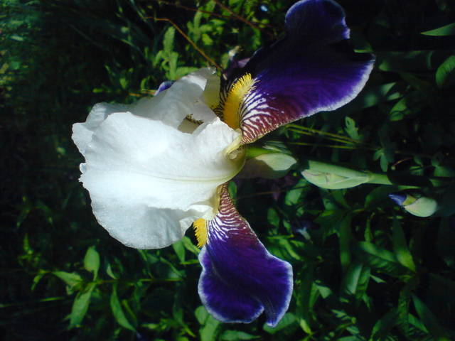 2807J