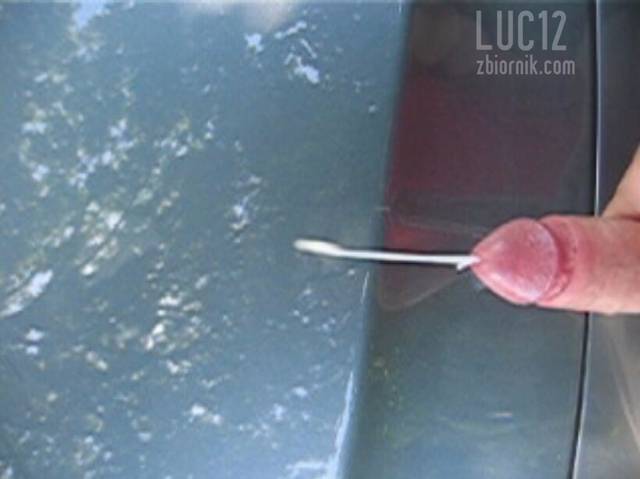2 - luc12