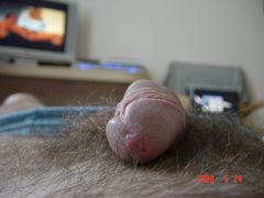 DSC08285.JPG
