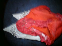 DSC00066.JPG