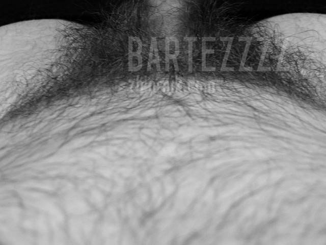bartezzzz