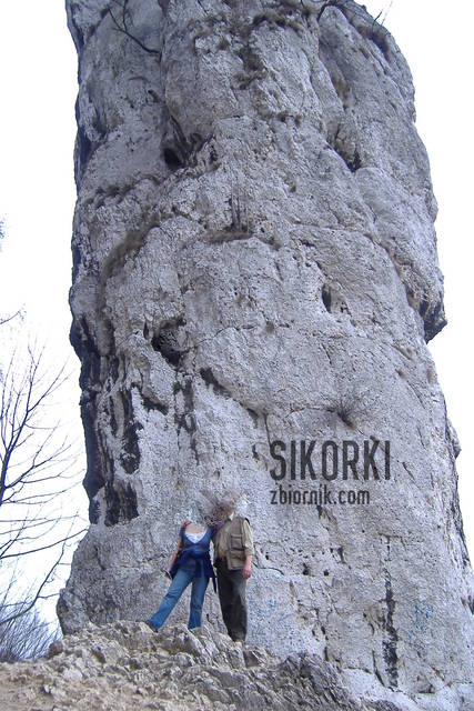My... Sikorki. - sikorki