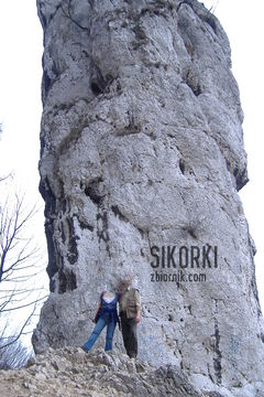 My... Sikorki.