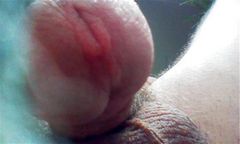IMAG0027.jpg