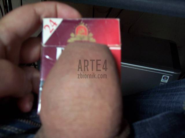 arte4