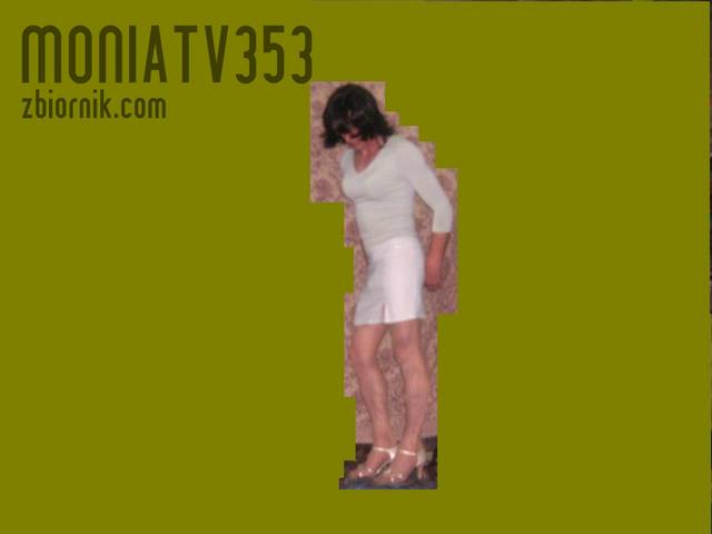 HPIM1030.JPG - Moniatv353