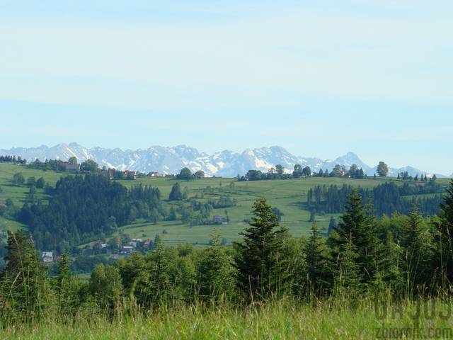 Widok na Tatry - gaj0s