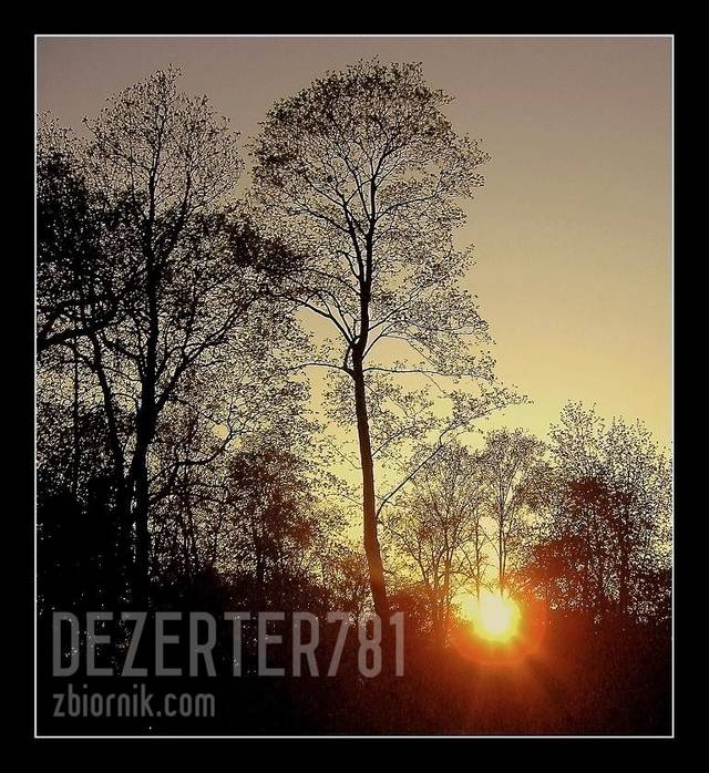 dezerter781