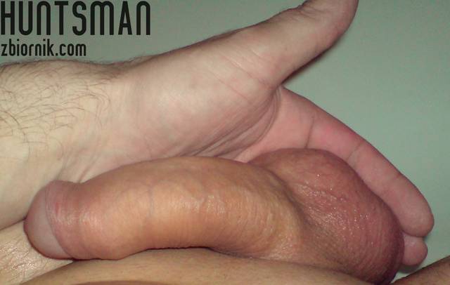 huntsman
