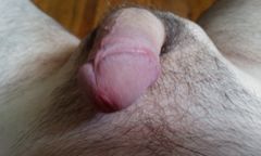 IMAG0040.jpg