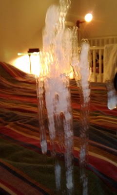IMAG0049.jpg