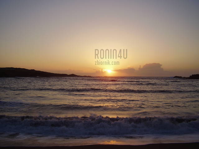 Ronin4u