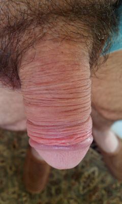 IMAG0069.jpg