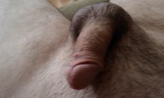 IMAG0094.jpg