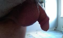 IMAG0110.jpg