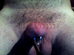 penis