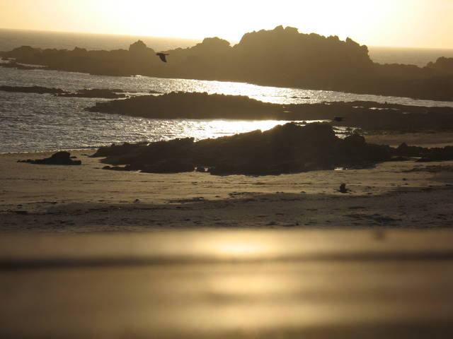 guernsey