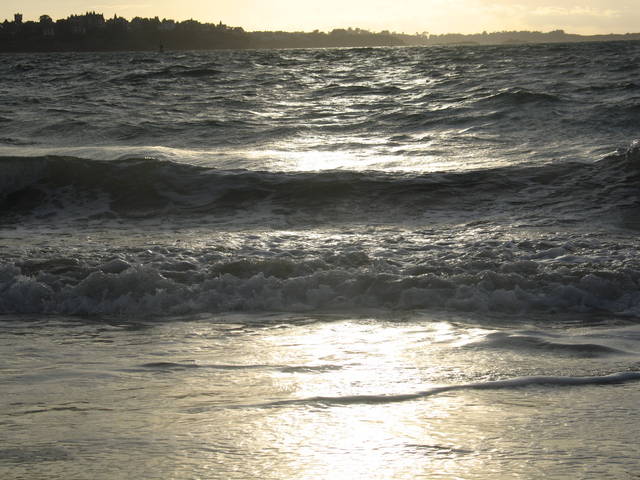 guernsey
