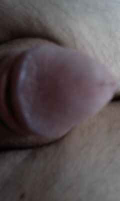 IMAG0173.jpg