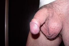 Obraz 001.jpg