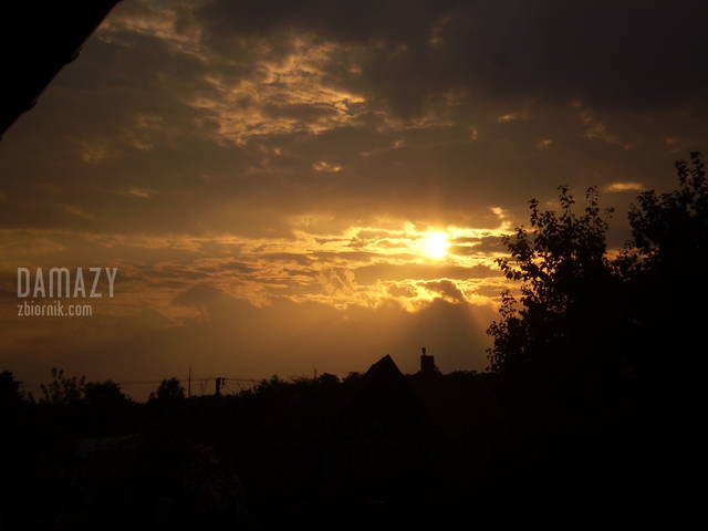 damazy