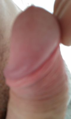 IMAG0235.jpg