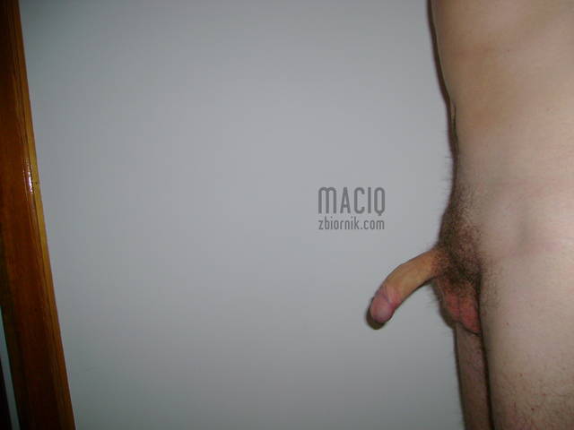 DSC06711.JPG - maciq