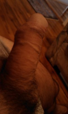 IMAG0253.jpg