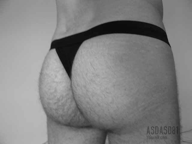 asdasd81
