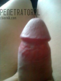 mój penis