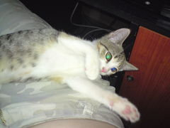 DSC00118.JPG