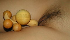 oniona81012.JPG