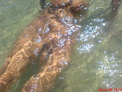 DSC00671.JPG