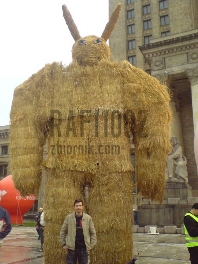 rafi1002