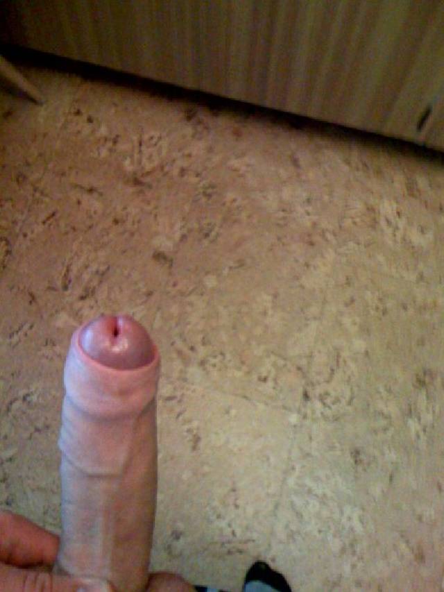 Tygrysek_25