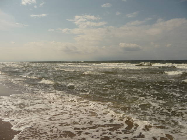 oszo