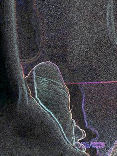 100_2042.JPG